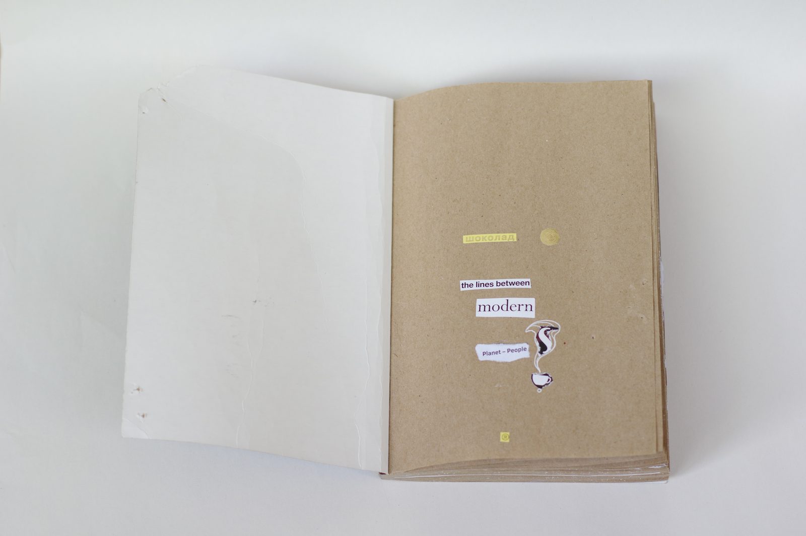 Collage book