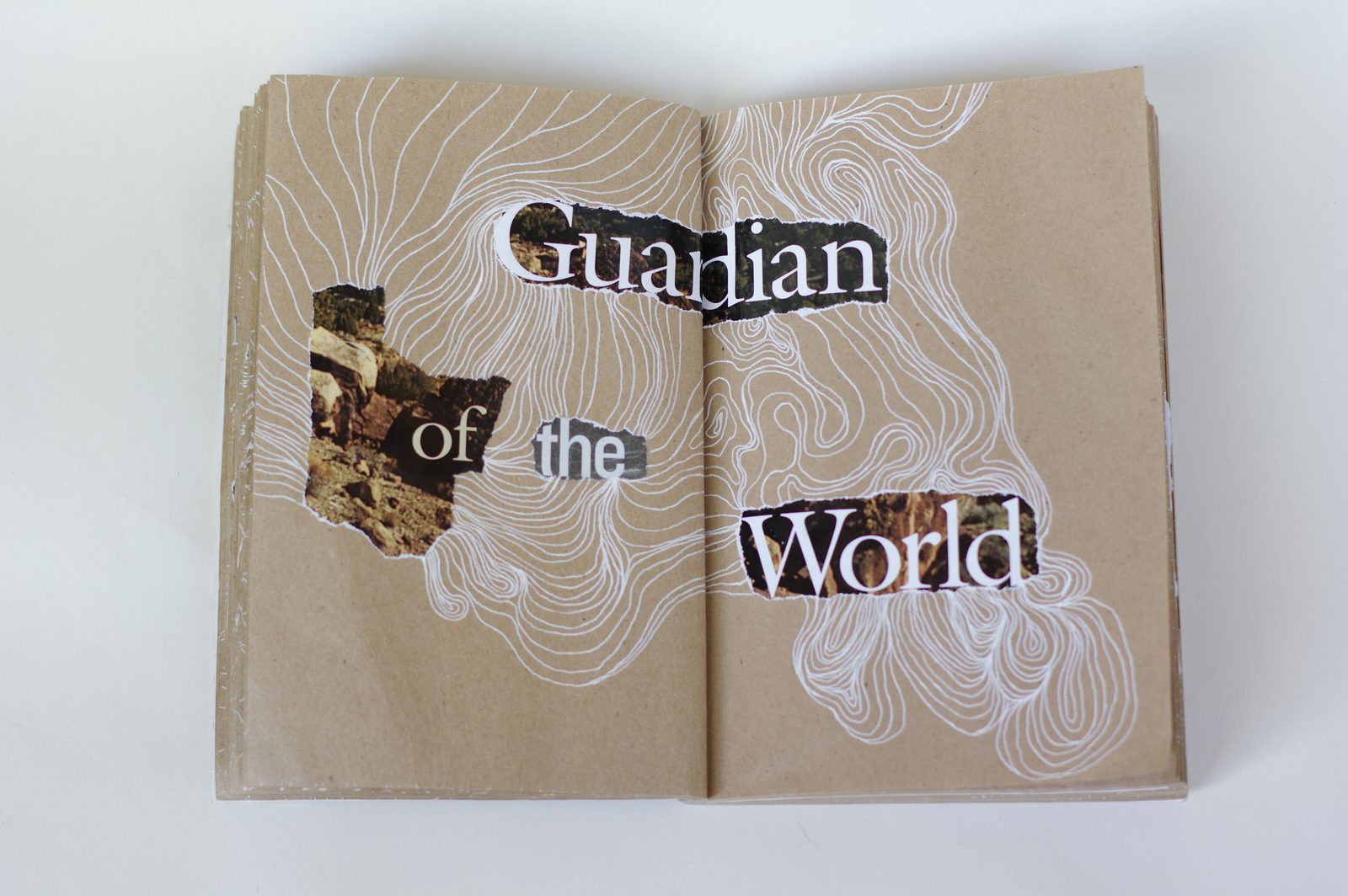 Collage book
