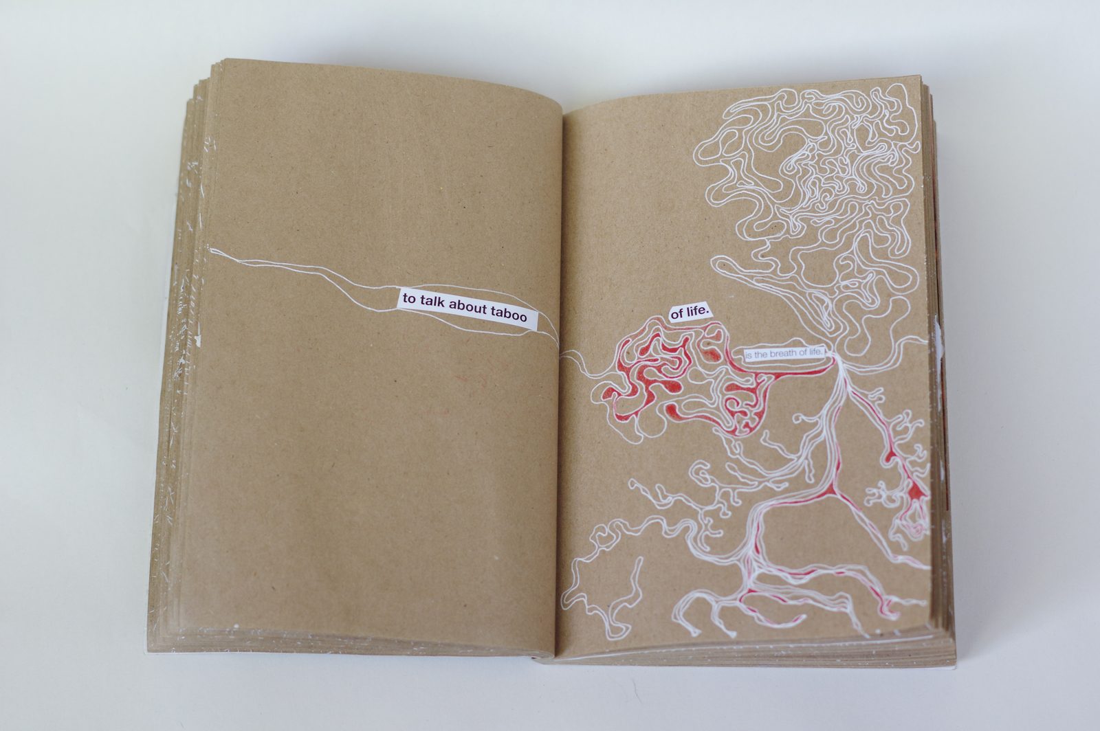 Collage book