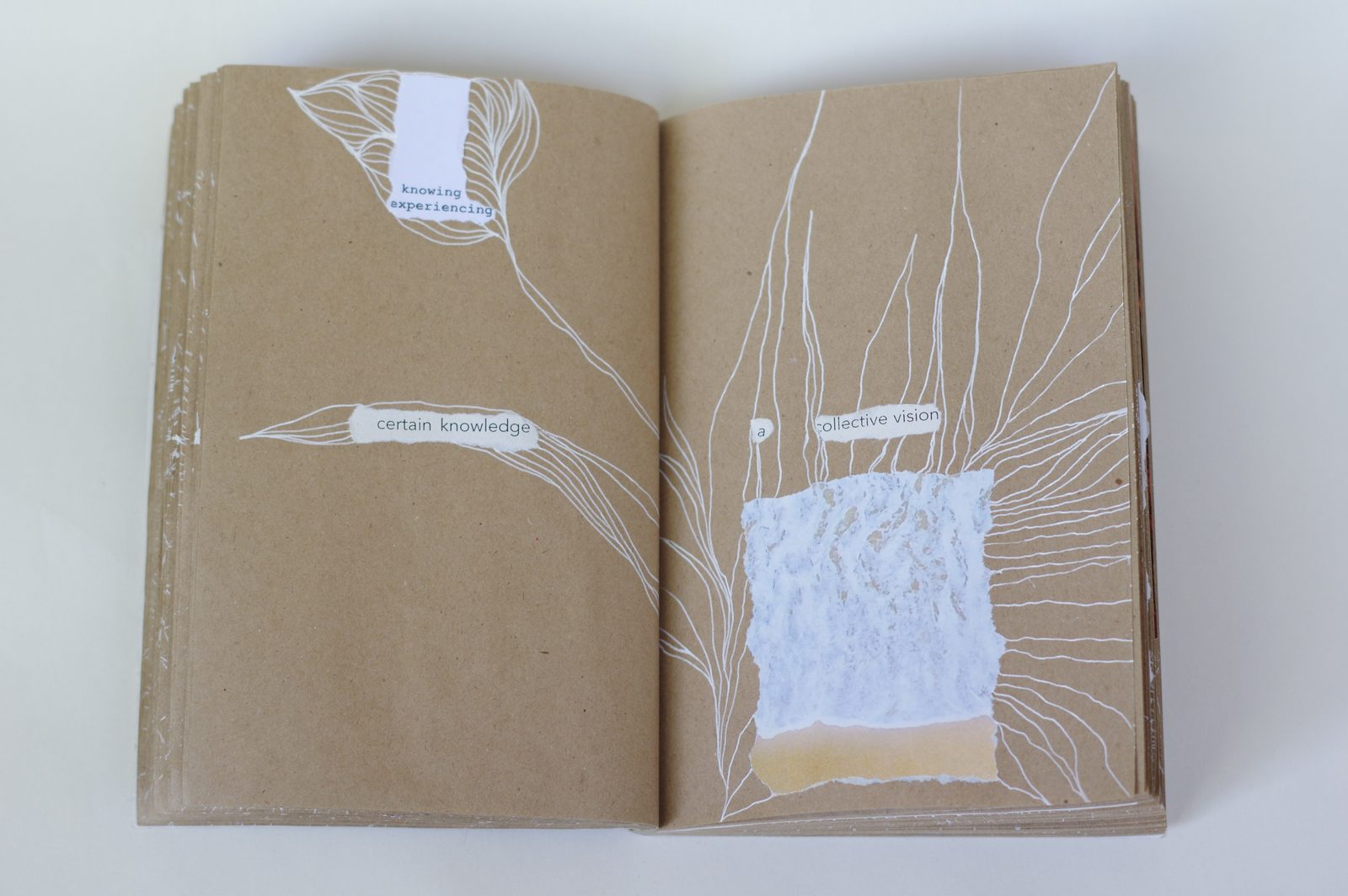 Collage book