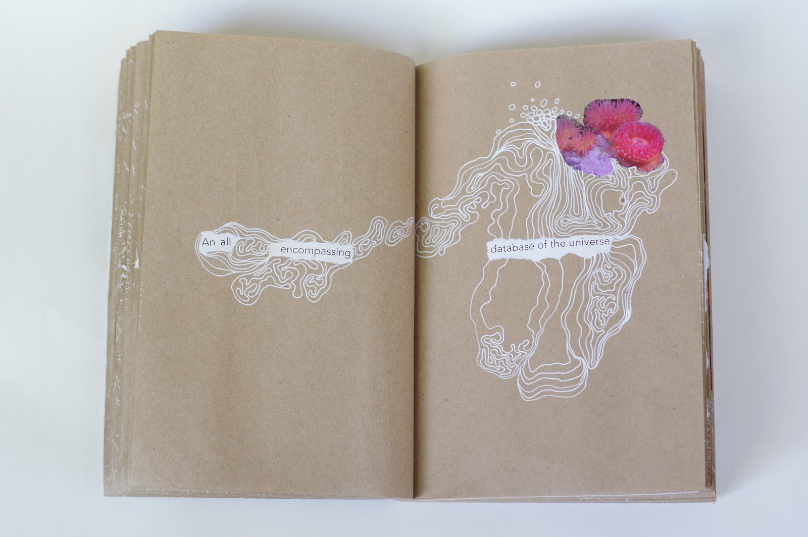 Collage book
