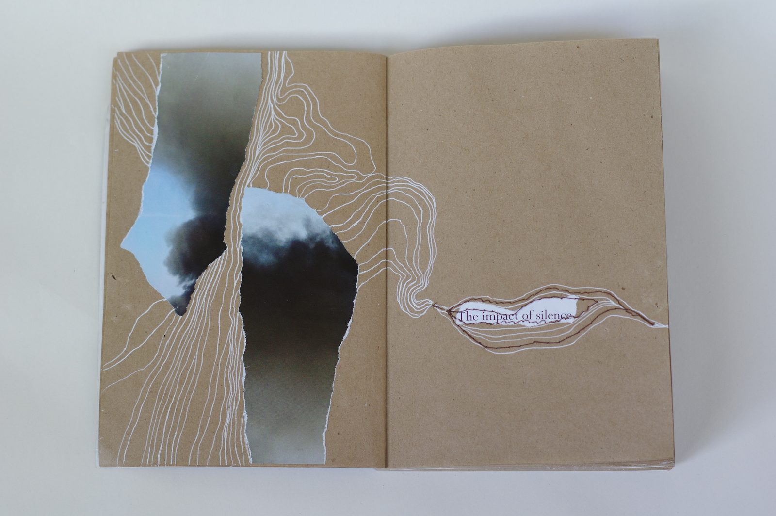 Collage book
