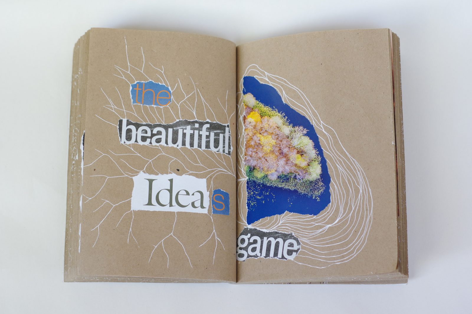 Collage book