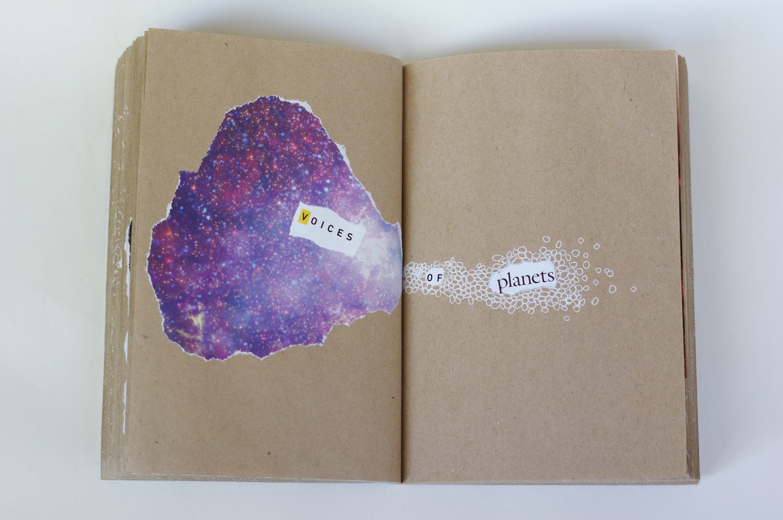 Collage book
