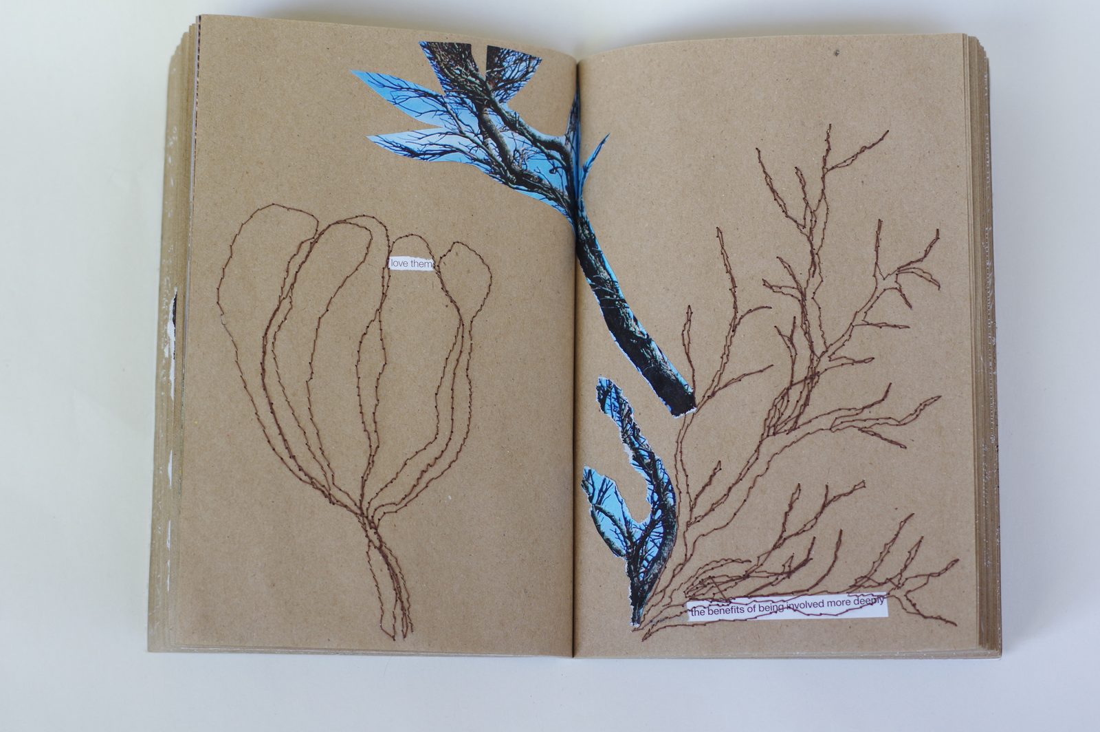 Collage book