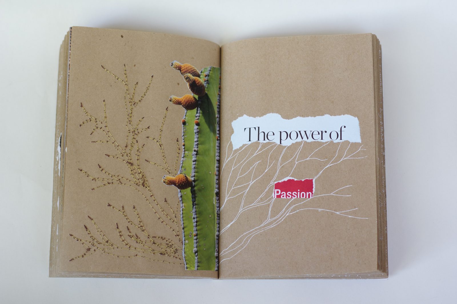 Collage book