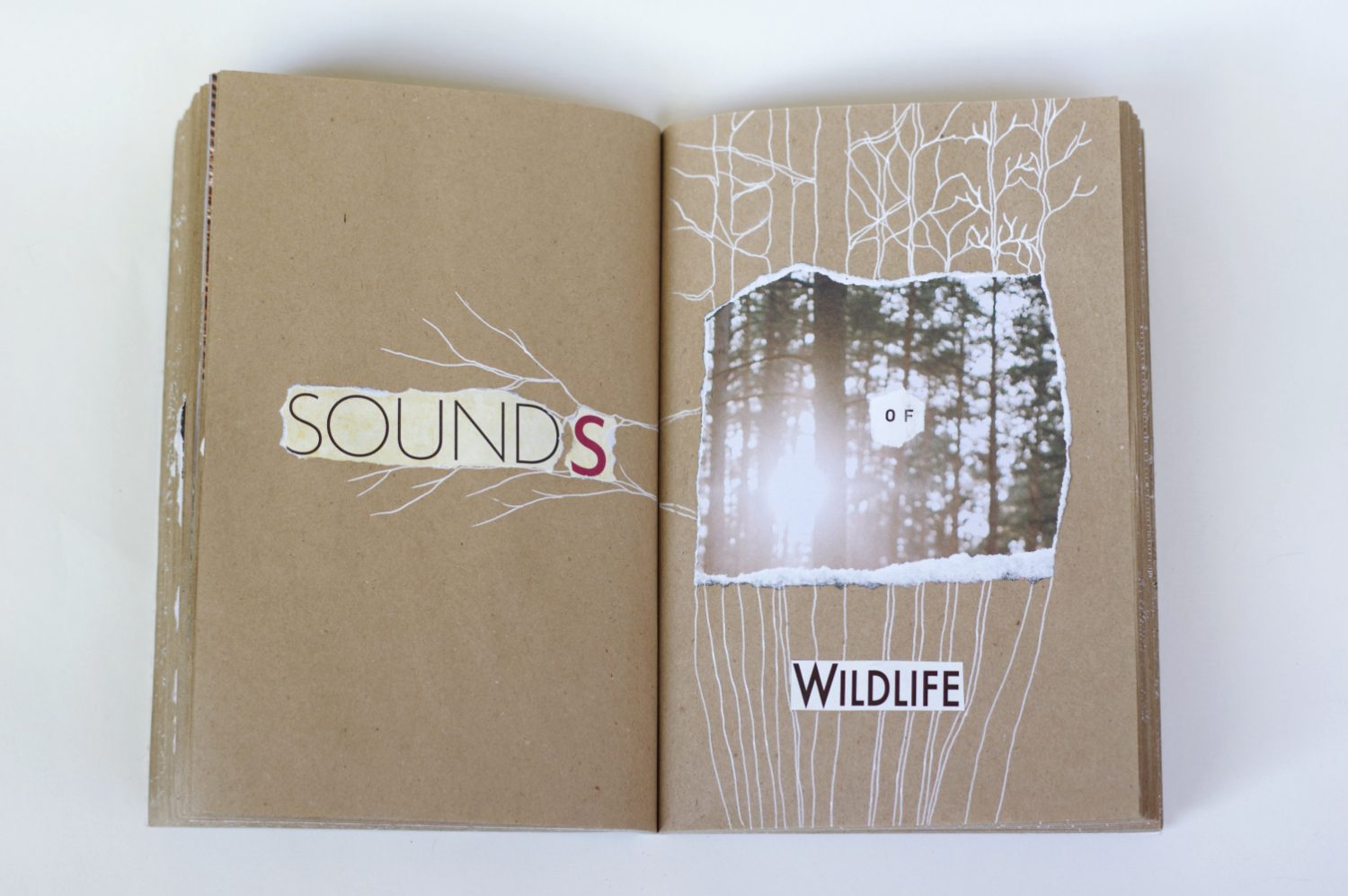 Collage book