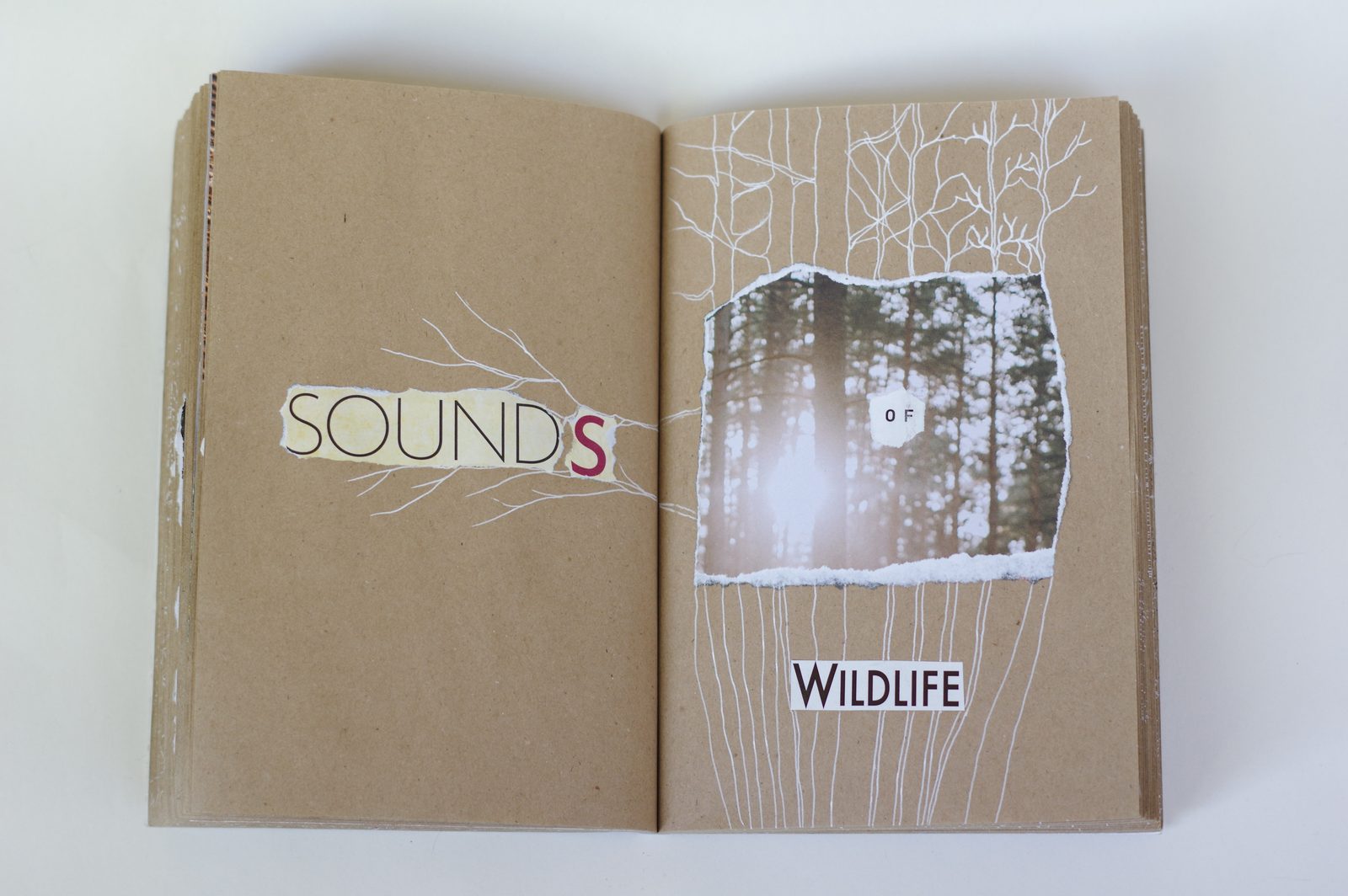 Collage book