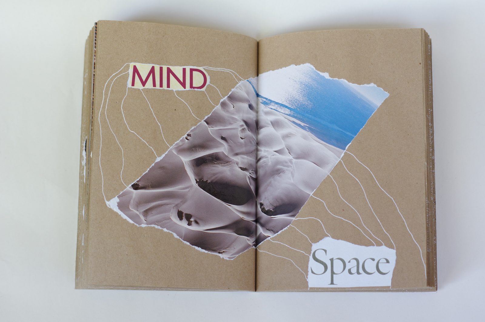 Collage book