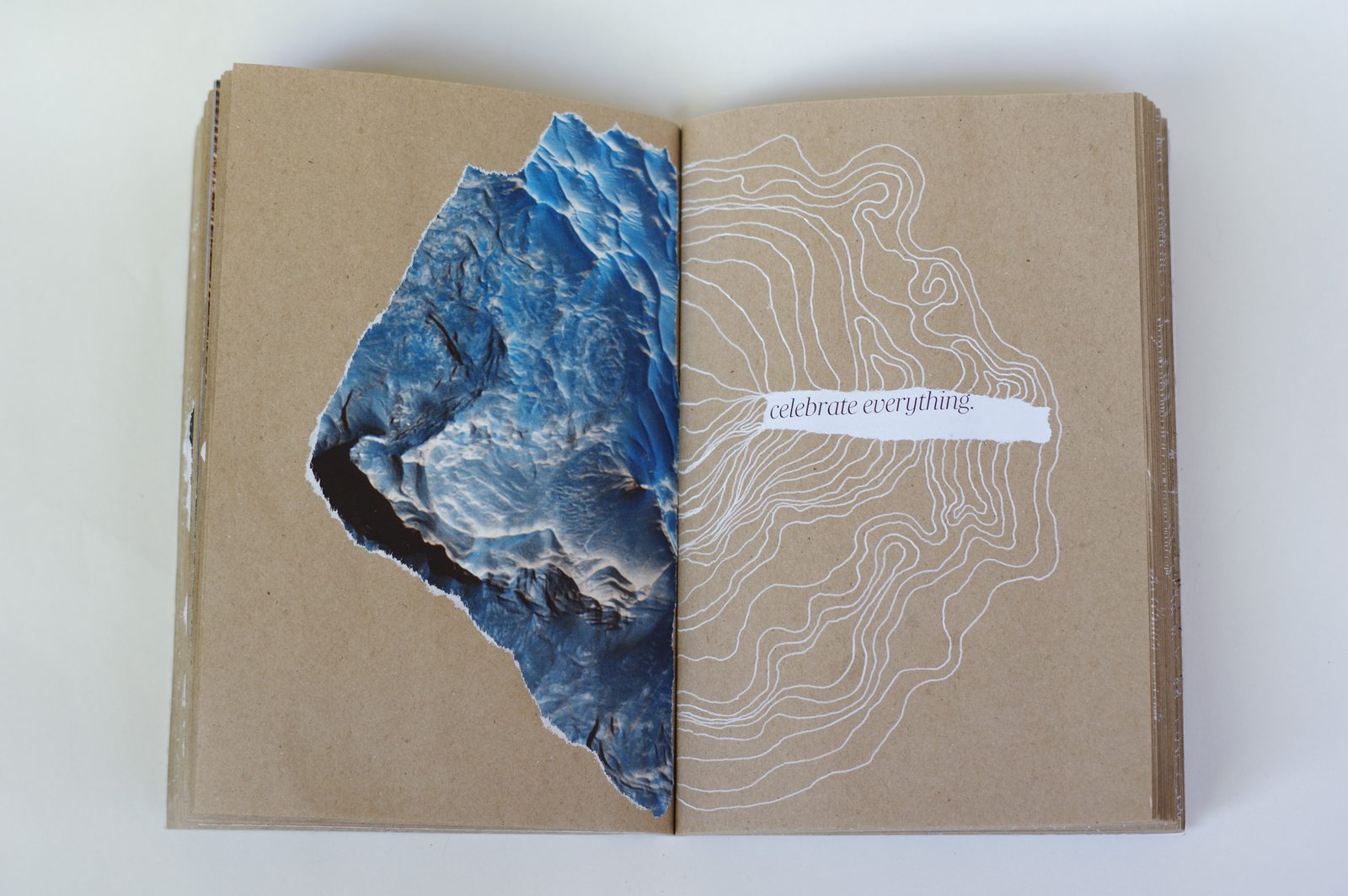 Collage book