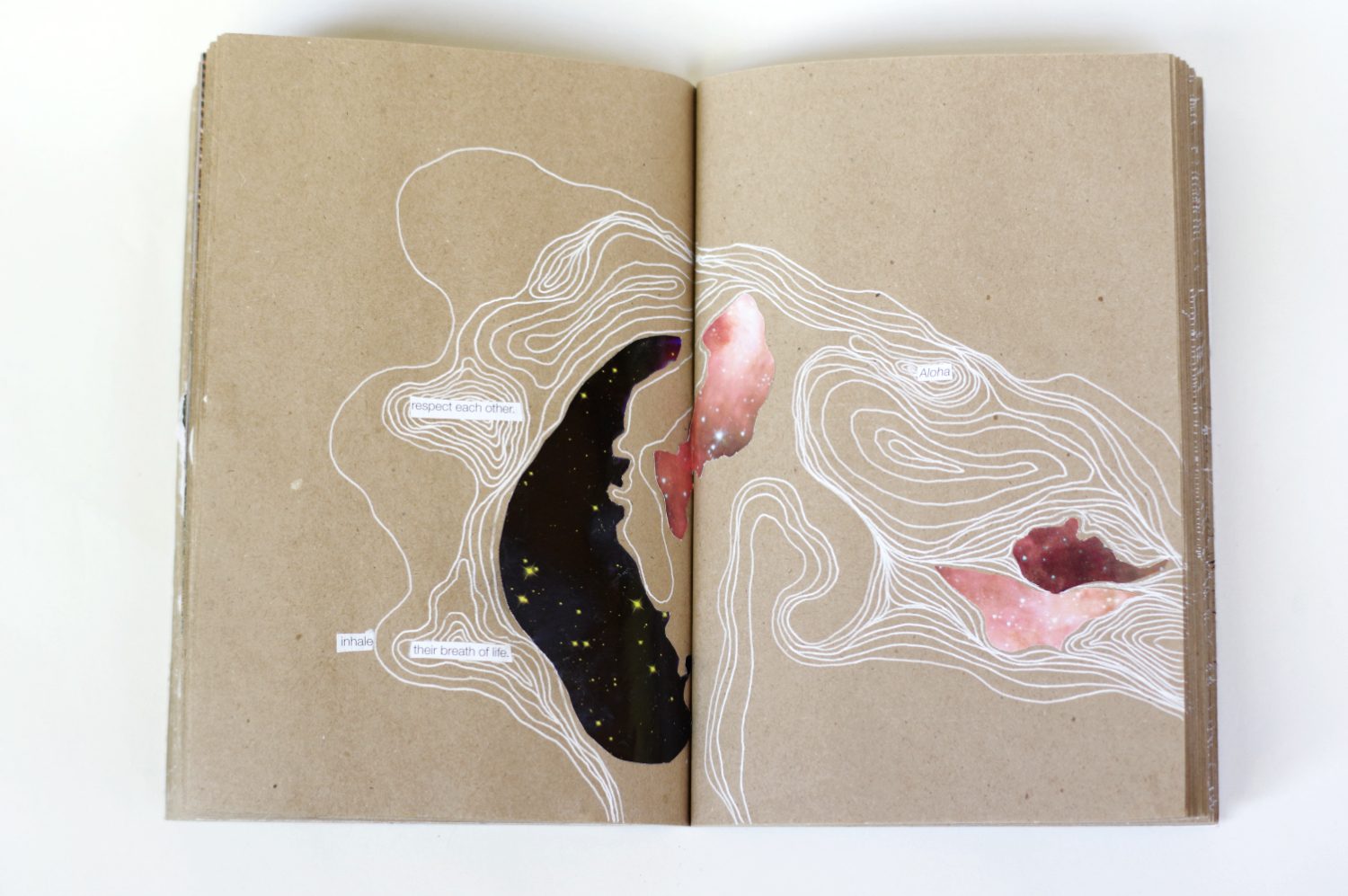 Collage book