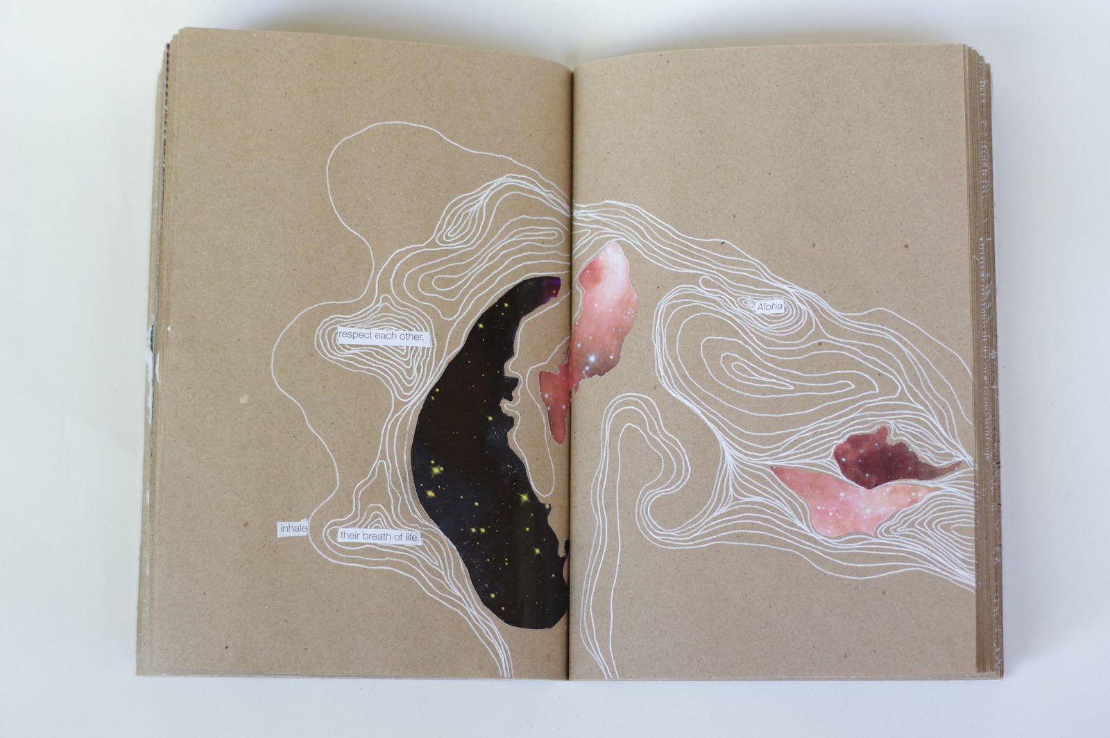 Collage book