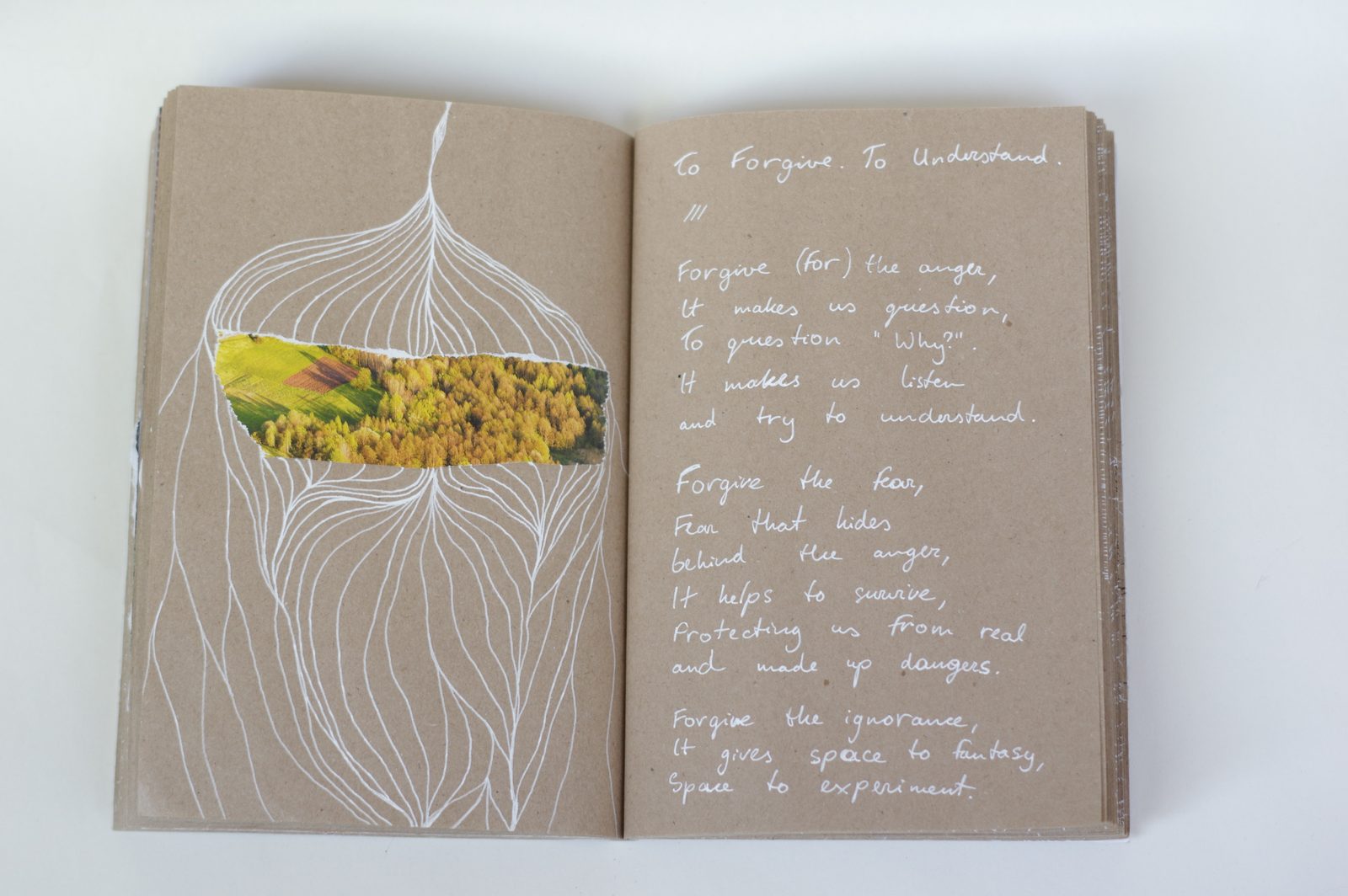 Collage book