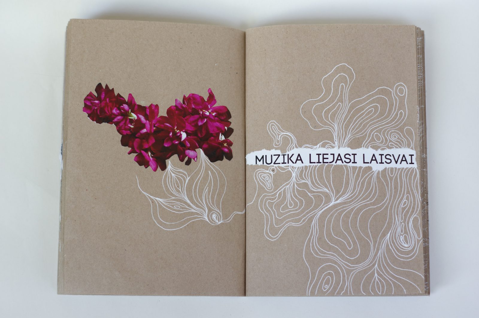 Collage book