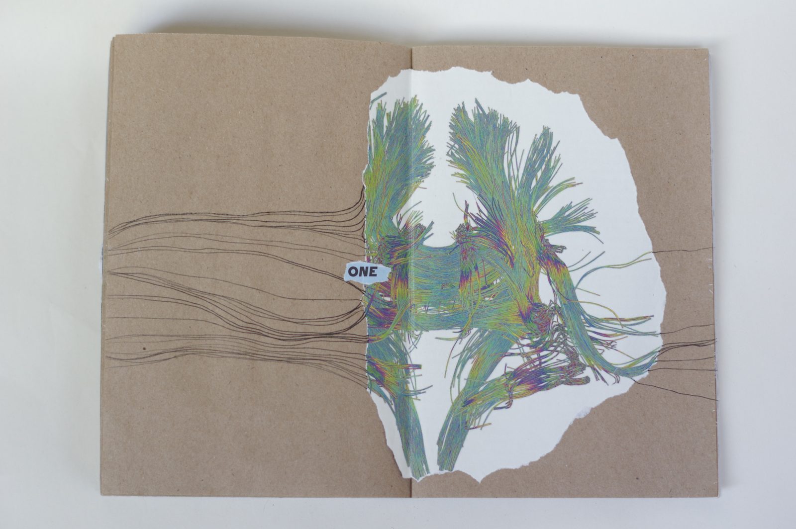 Collage book