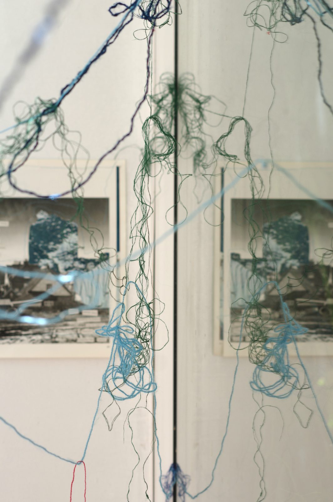 Rhizome of Connections
