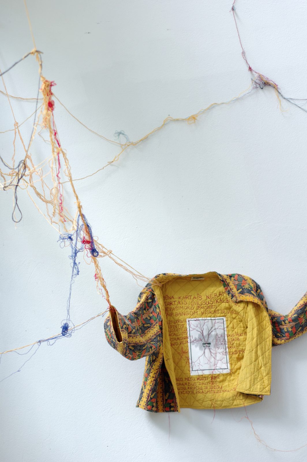 Rhizome of Connections