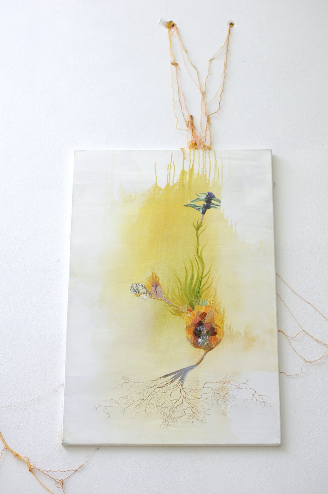 Rhizome of Connections
