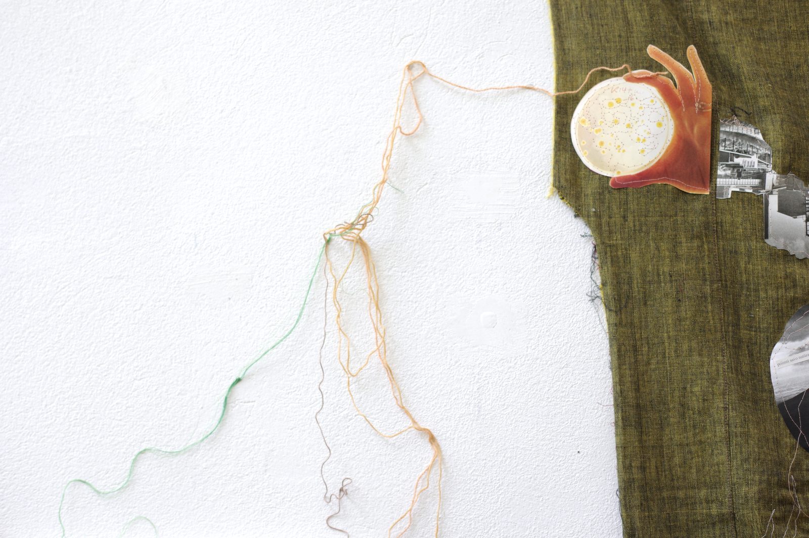 Rhizome of Connections