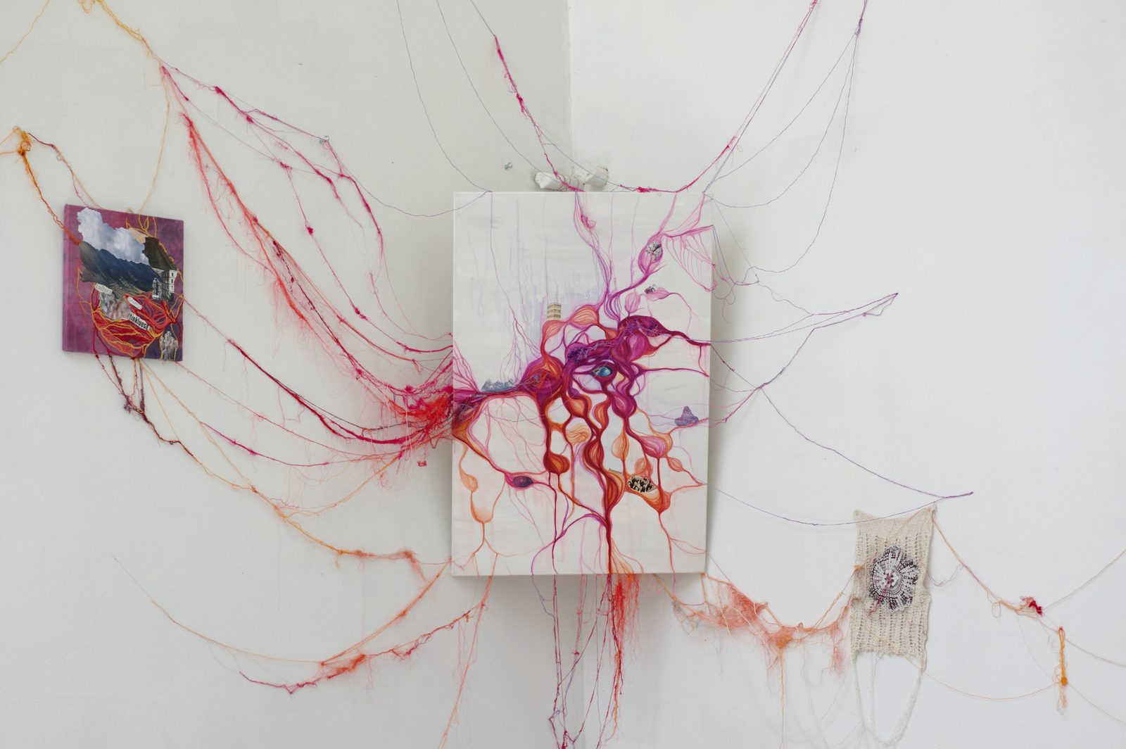 Rhizome of Connections