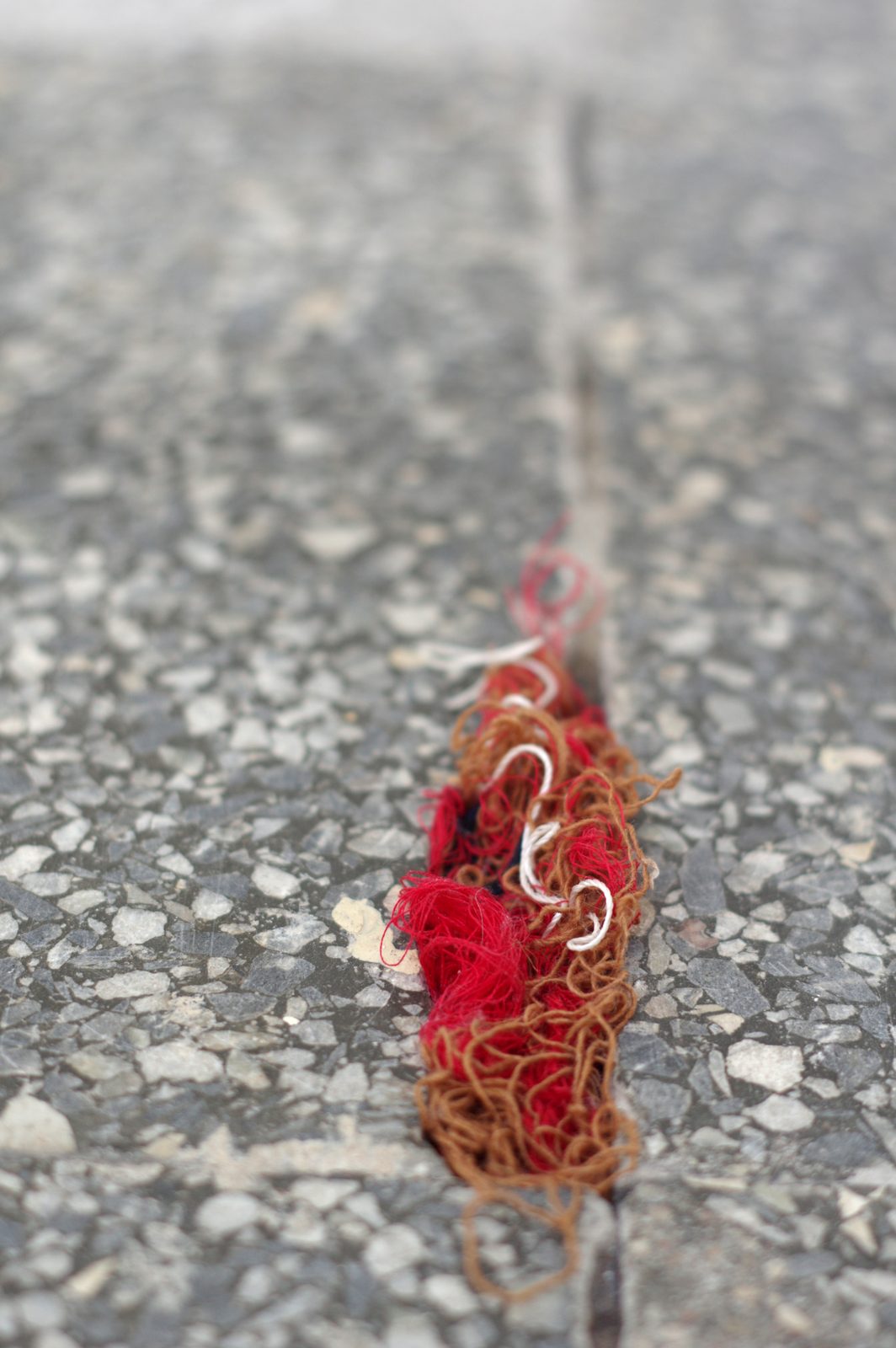 Rhizome of Connections