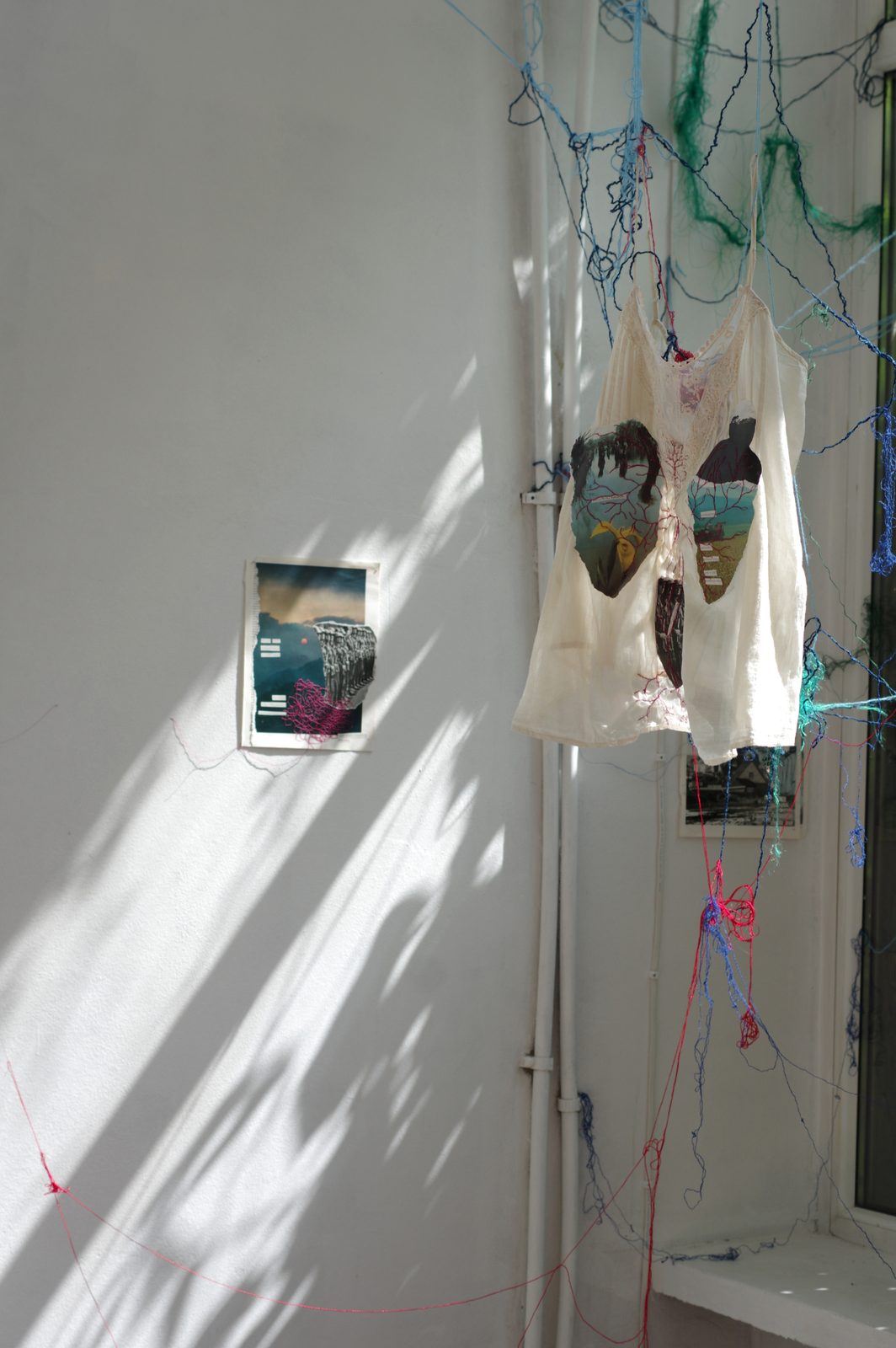 Rhizome of Connections