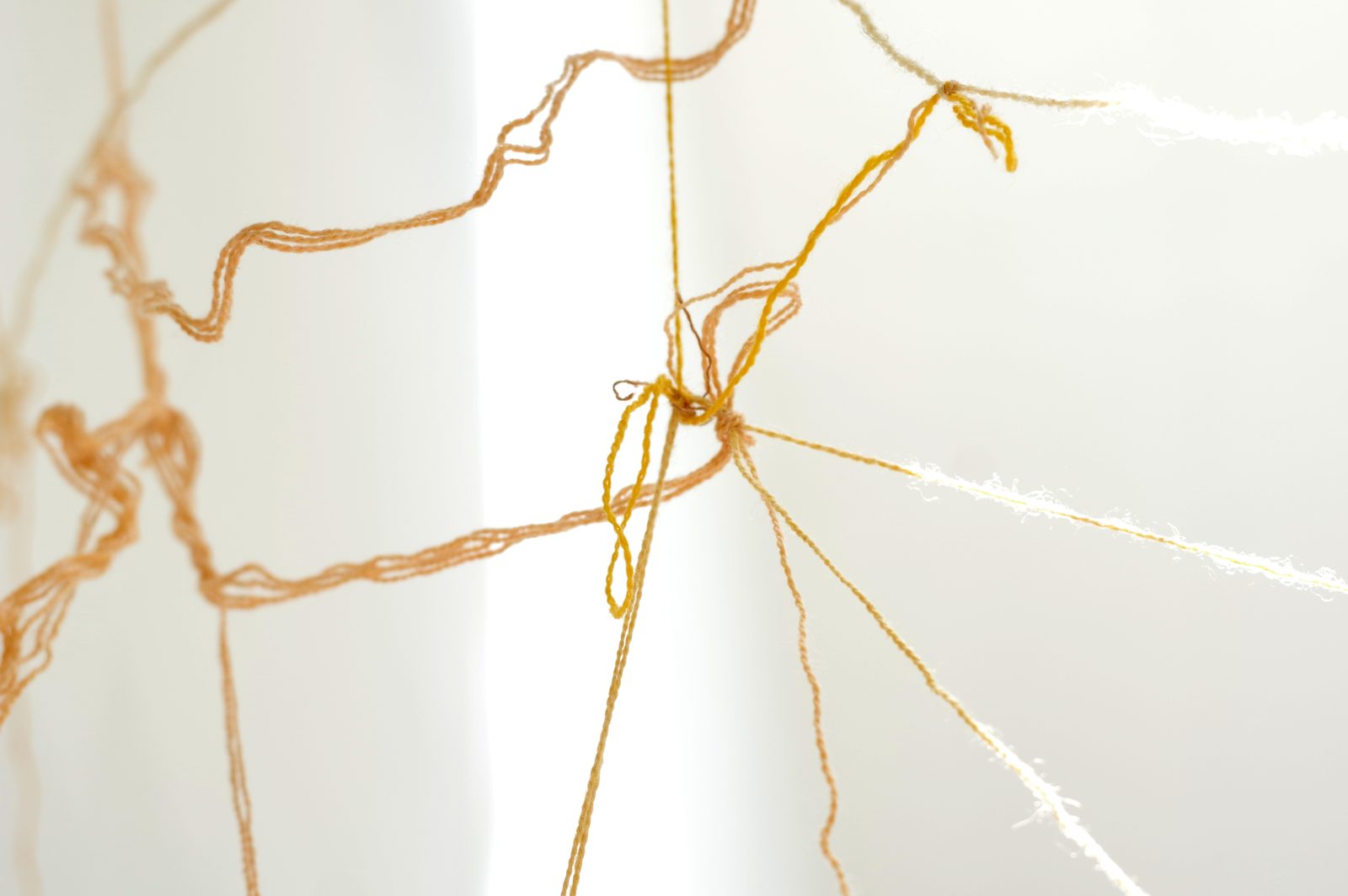 Rhizome of Connections